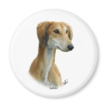 Saluki magnets