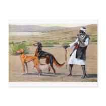 saluki postcard