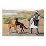 saluki postcard
