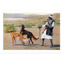 saluki postcard