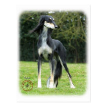 Saluki Postcards
