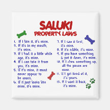 SALUKI Property Laws 2 Magnets