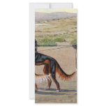 saluki rack cards
