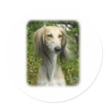Saluki stickers