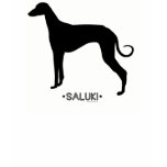 Saluki T-Shirt