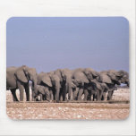 Salute elephants mousepads