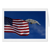 Salute The Flag Greeting Card