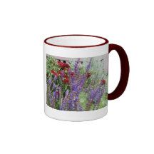 salvia and mums 2x pics mugs
