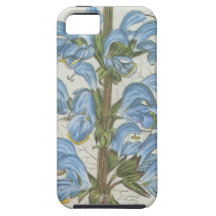 Salvia Barrelieri iPhone 5 Cases
