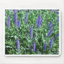 Salvia Mousepad