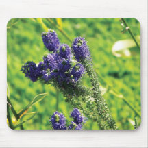 Salvia Mousepads