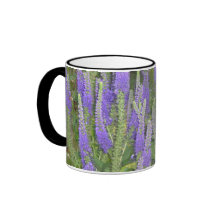 salvia on coffee mug