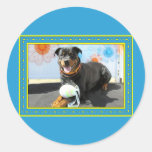SambaPaTi - Rottweiler -3 Round Stickers