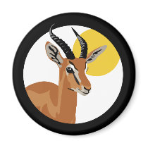Samer the Gazelle
