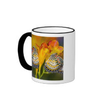 Sammamish, Washington. Tropical Butterflies 68 Coffee Mug