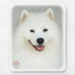 Samoyed 9Y566D-019 mousepads