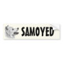 Samoyed Bumper Sticker