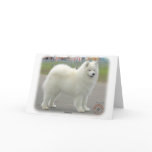 Samoyed cards