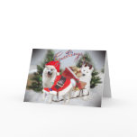 Samoyed Christmas Greetings Cards
