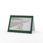 Samoyed Christmas (Lincoln Memorial) cards