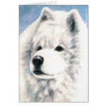 Samoyed Dog Blank Card
