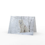 Samoyed dog cards
