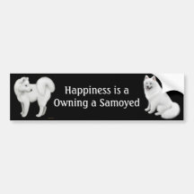 Samoyed Dogs Bumper Sticker