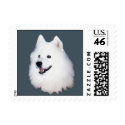 Samoyed face postage