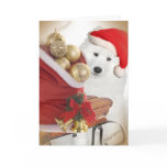 Samoyed Friends Sledding Cards