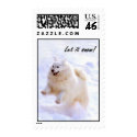 Samoyed jumping postage