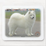 Samoyed mousepads