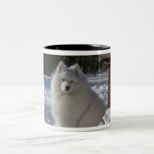 samoyed mugs