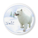 Samoyed Noel magnets