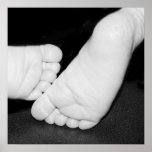 Sam's Feet posters