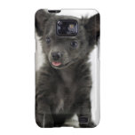 Samsung Galaxy Case - Customised
