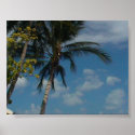 Samui Sky, Thailand posters