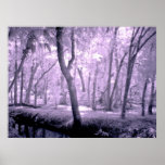 Samurai Forest posters