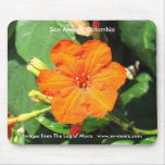 San Andrés, Colombia Mouse Pads