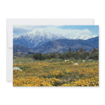 San Bernardino Mountains, snow, flowers Custom Invitations