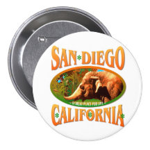 San Diego California Pin