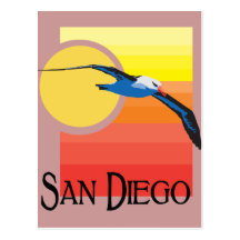 San Diego Gull Postcards