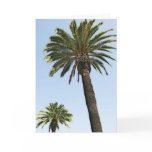 San Diego Palm Trees (Illustration) Greeting Card