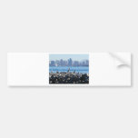 San Diego Pelicans Birds City Skyline Water Bumper Stickers