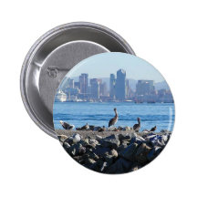 San Diego Pelicans Birds City Skyline Water Buttons