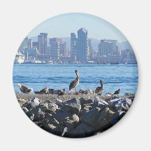 San Diego Pelicans Birds City Skyline Water Refrigerator Magnet