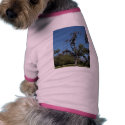 San Diego Shoe Tree In Morley Field pet clothing