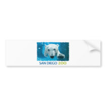 San Diego Zoo Polar Bear Bumper Sticker