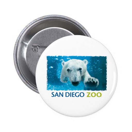 San Diego Zoo Polar Bear Pinback Button
