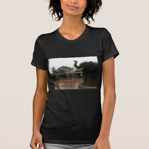 San Diego Zoo Shirts