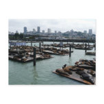 San Francisco and Pier 39 Postcard